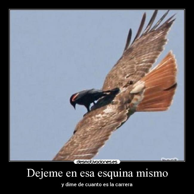 Dejeme en esa esquina mismo -