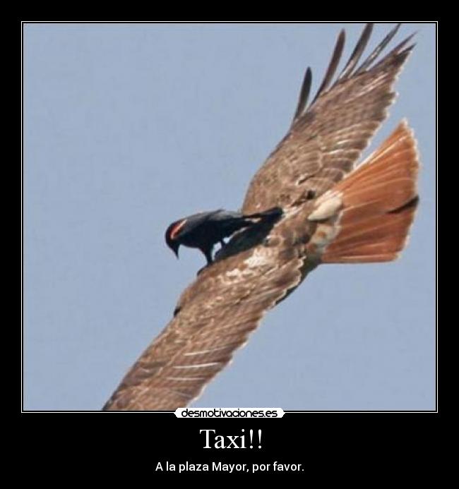 Taxi!! - 
