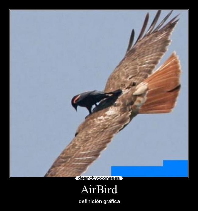 AirBird - 