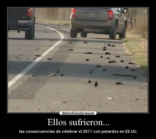 Ellos sufrieron... - las consecuencias de celebrar el 2011 con petardos en EE.UU.