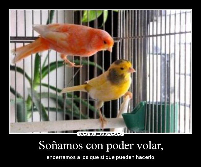 carteles desmotivaciones