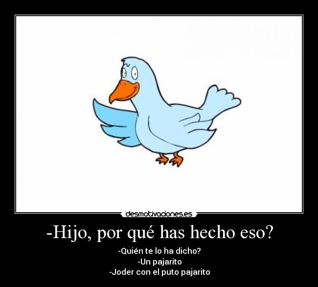 carteles pajaro desmotivaciones