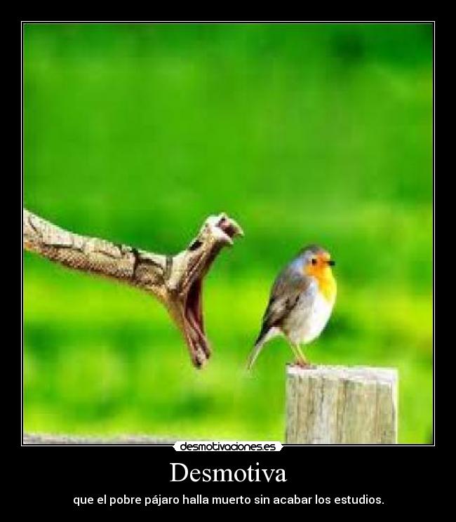 Desmotiva - que el pobre pájaro halla muerto sin acabar los estudios.
