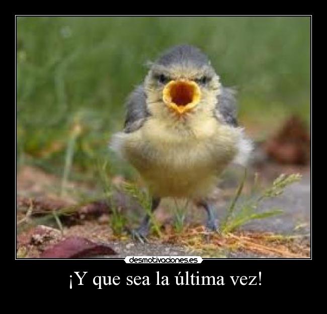 ¡Y que sea la última vez! -