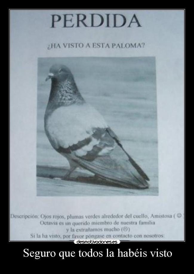 Seguro que todos la habéis visto -