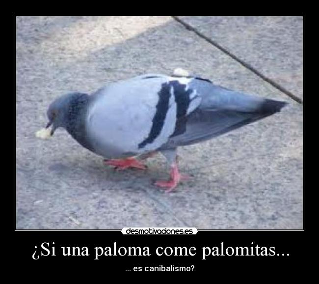 ¿Si una paloma come palomitas... -