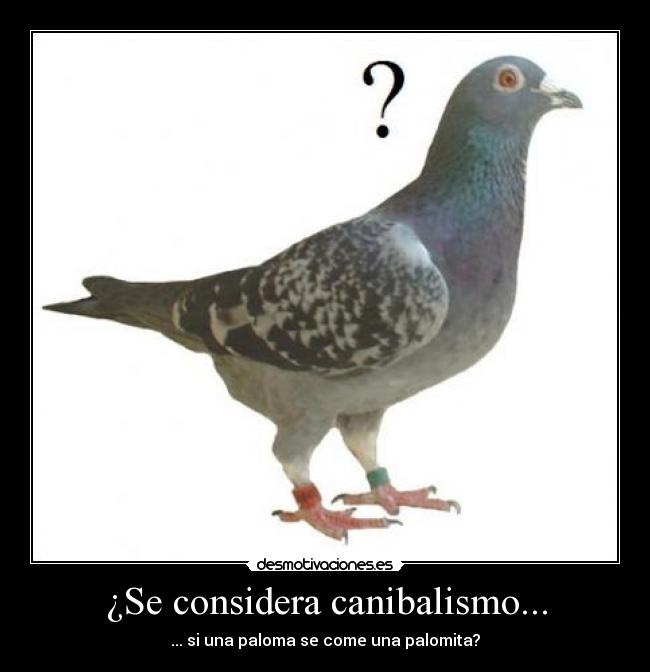 carteles paloma palomita canibalismo desmotivaciones