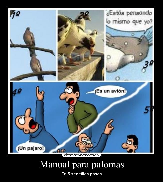 Manual para palomas -