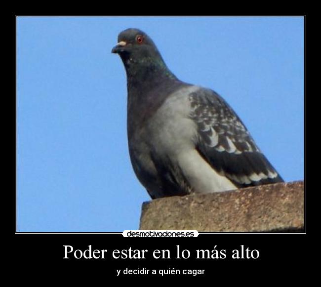 Poder estar en lo más alto - 