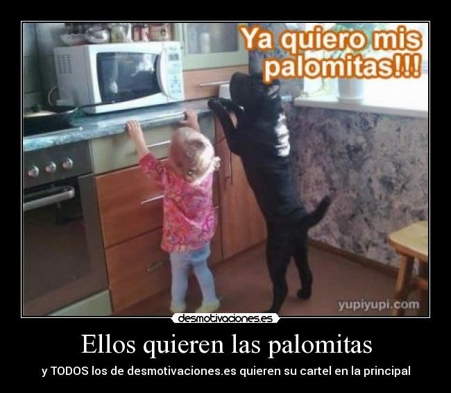 Ellos quieren las palomitas - 