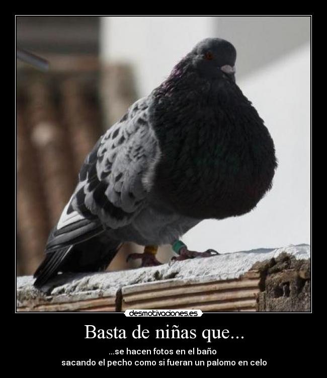 Basta de niñas que... -