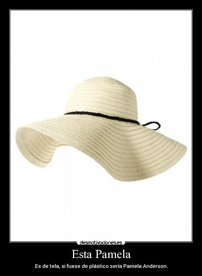 Esta Pamela - Es de tela, si fuese de plástico sería Pamela Anderson.