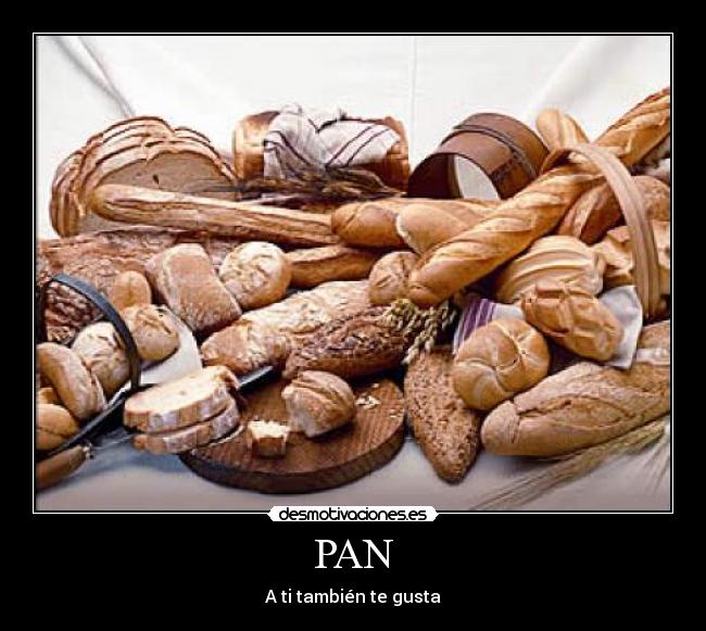 carteles pan desmotivaciones