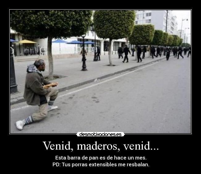 Venid, maderos, venid... -