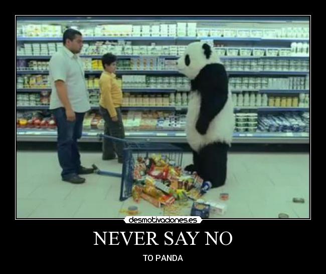 NEVER SAY NO -
