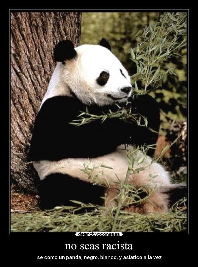 no seas racista -
