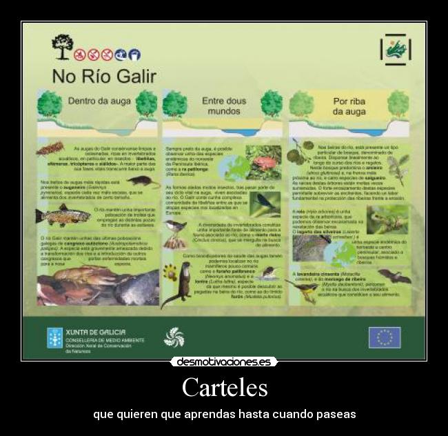 Carteles - 