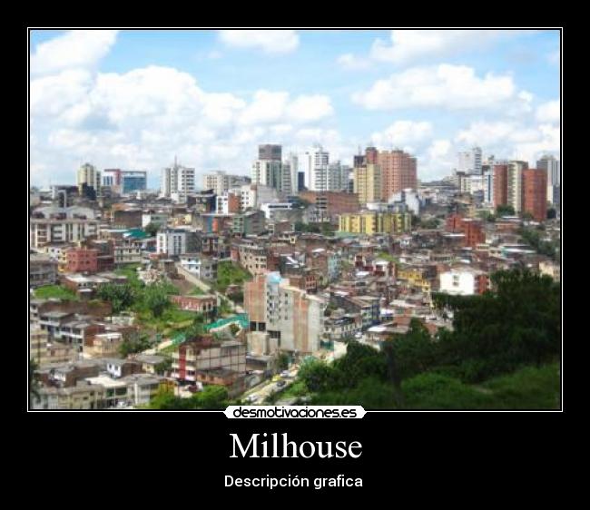 Milhouse - Descripción grafica