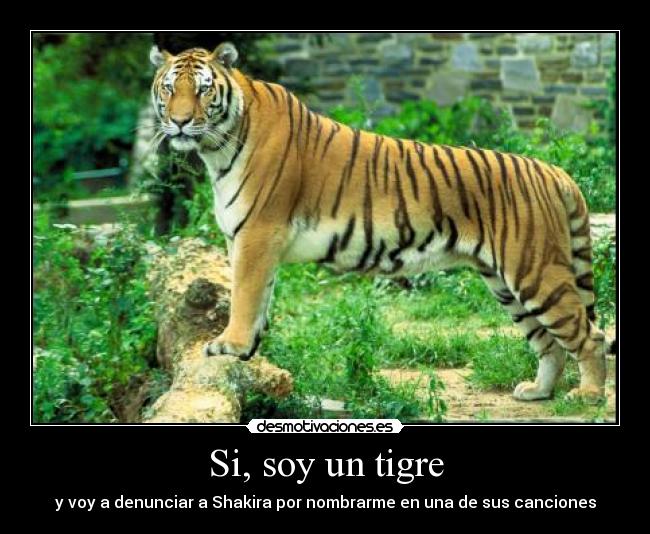 Si, soy un tigre - y voy a denunciar a Shakira por nombrarme en una de sus canciones