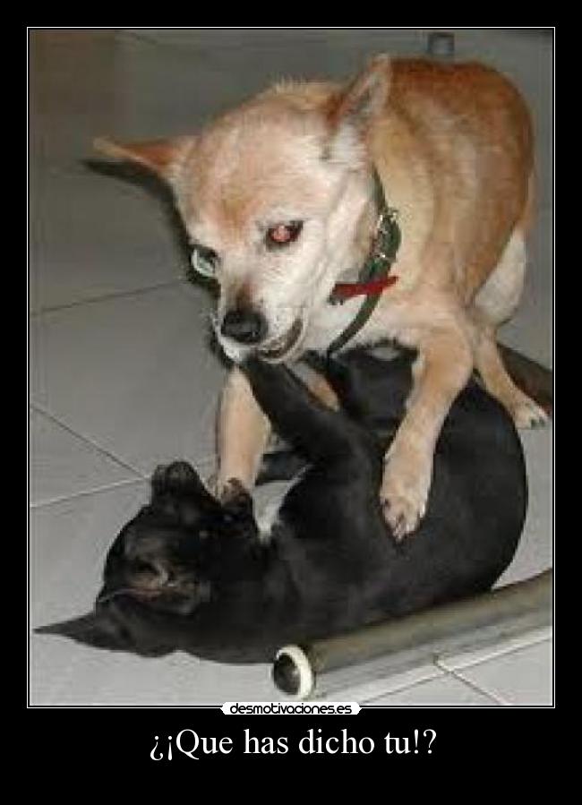 ¿¡Que has dicho tu!? -