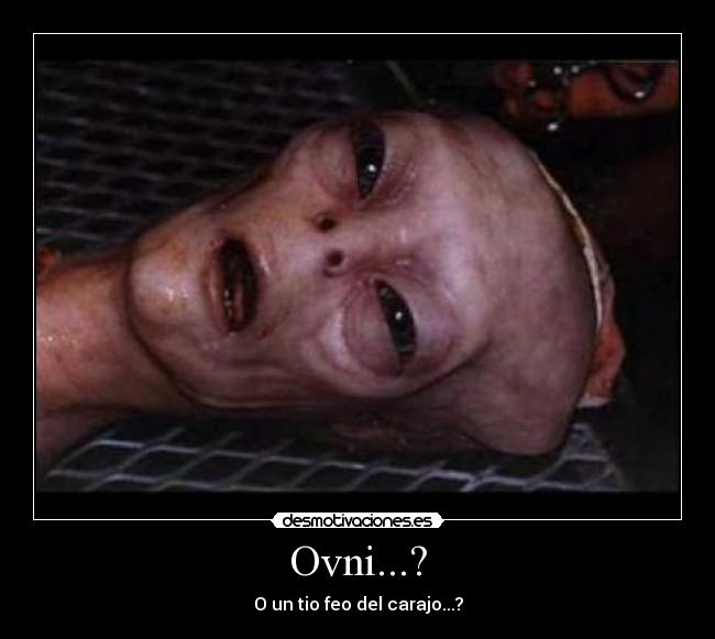 Ovni...? - O un tio feo del carajo...?