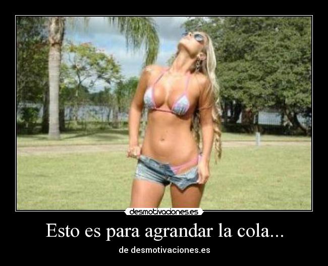 carteles esto para agrandar cola desmotivaciones