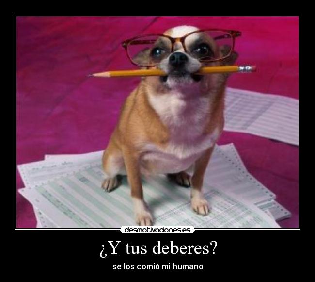 ¿Y tus deberes? - se los comió mi humano