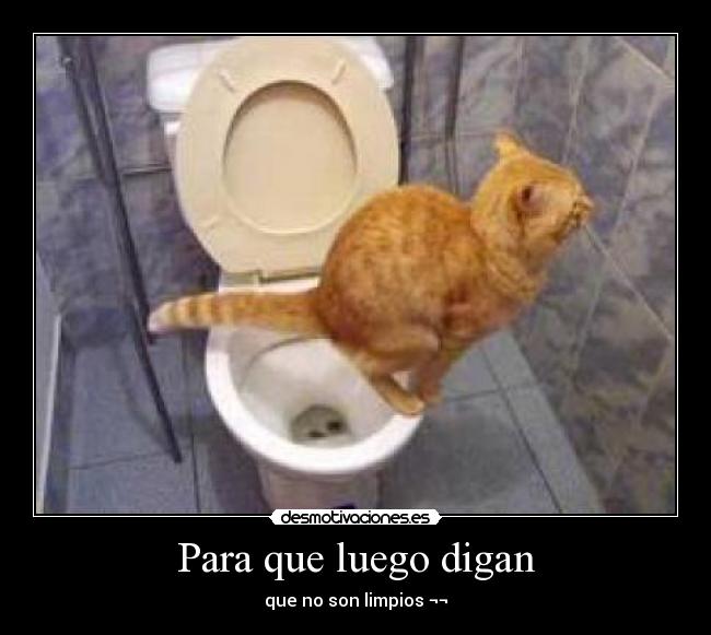 Para que luego digan - que no son limpios ¬¬