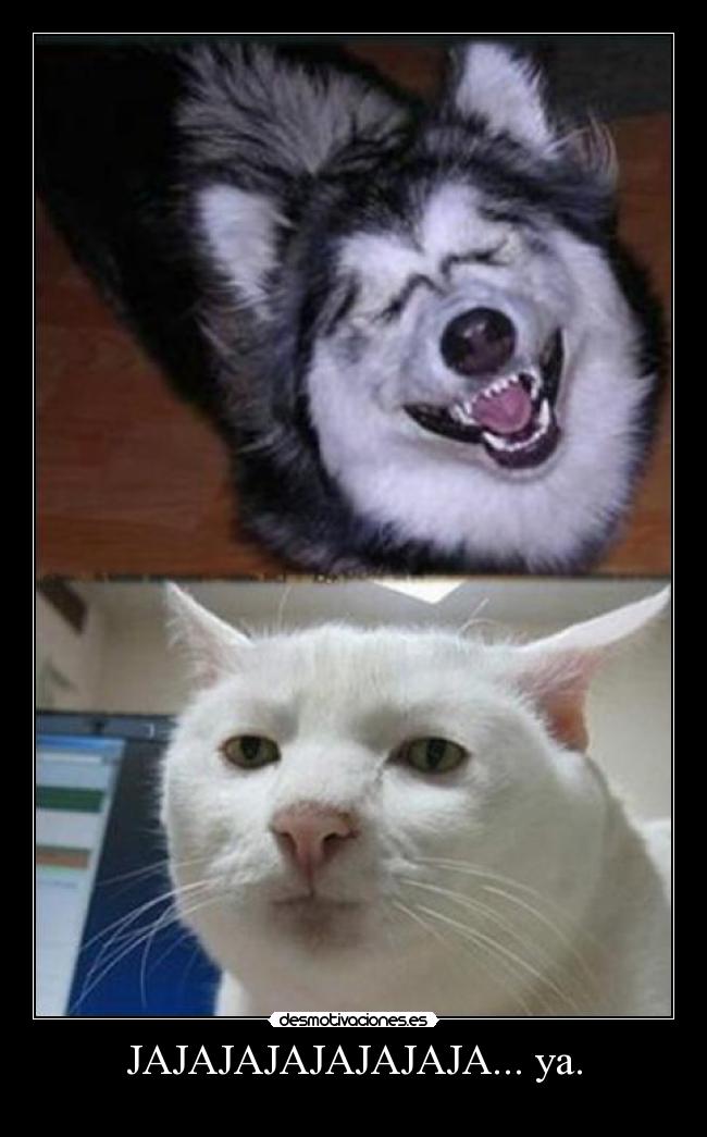 JAJAJAJAJAJAJAJA... ya. -