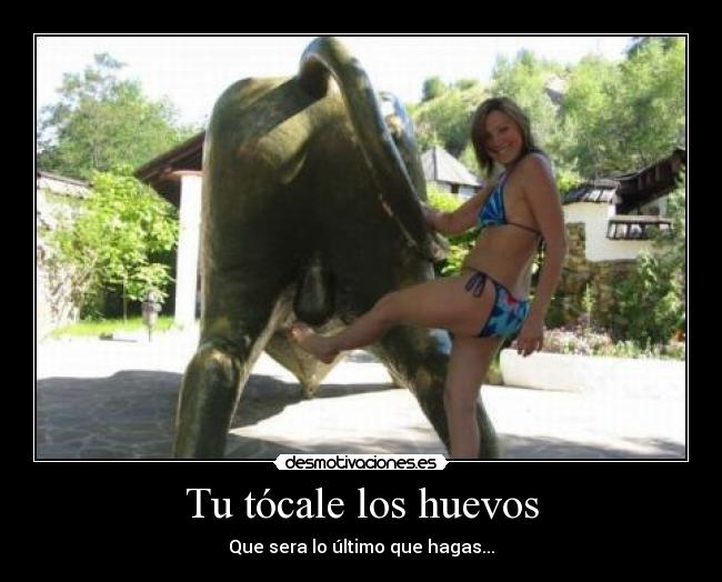 Tu tócale los huevos - 