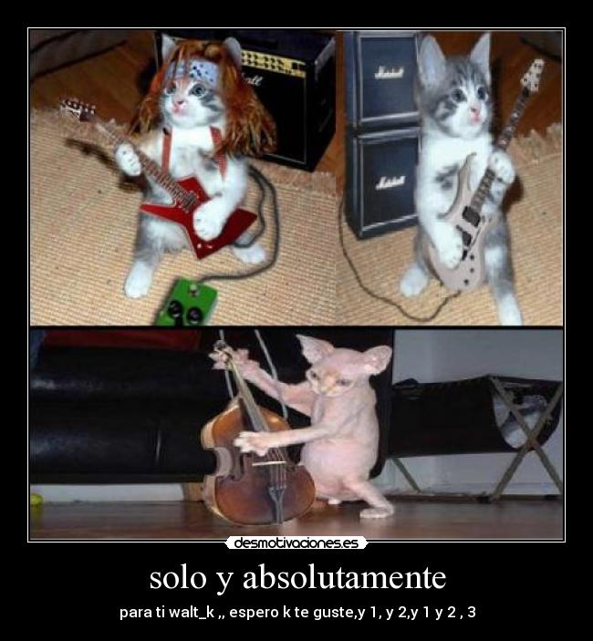 solo y absolutamente - 