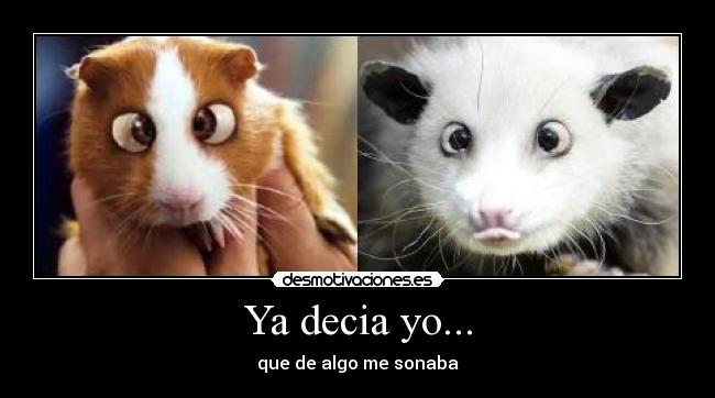 Ya decia yo... -