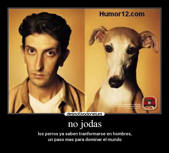 no jodas - los perros ya saben tranformarse en hombres,
un paso mas para dominar el mundo
