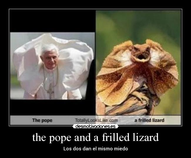 the pope and a frilled lizard - Los dos dan el mismo miedo