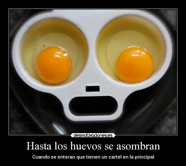 Hasta los huevos se asombran -