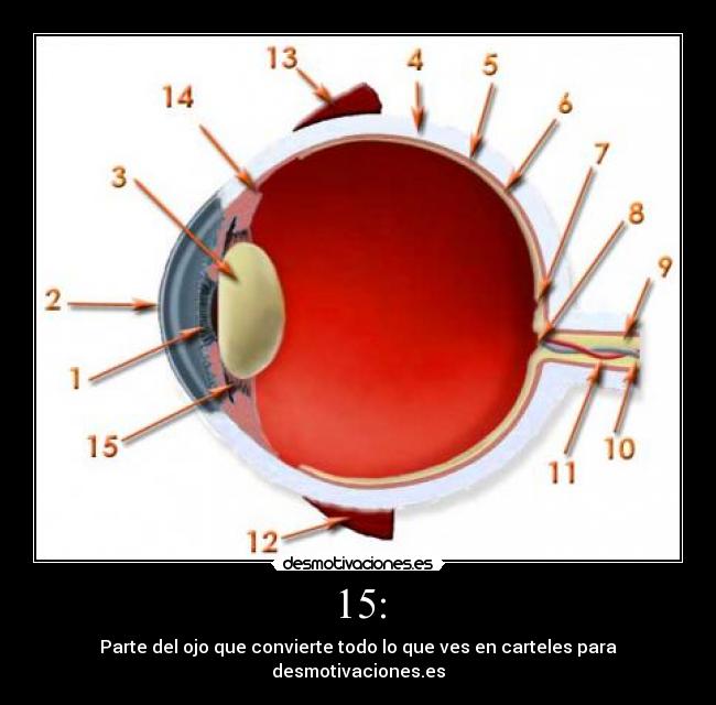 carteles ojo desmotivaciones