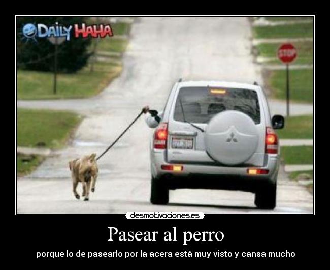 Pasear al perro - 