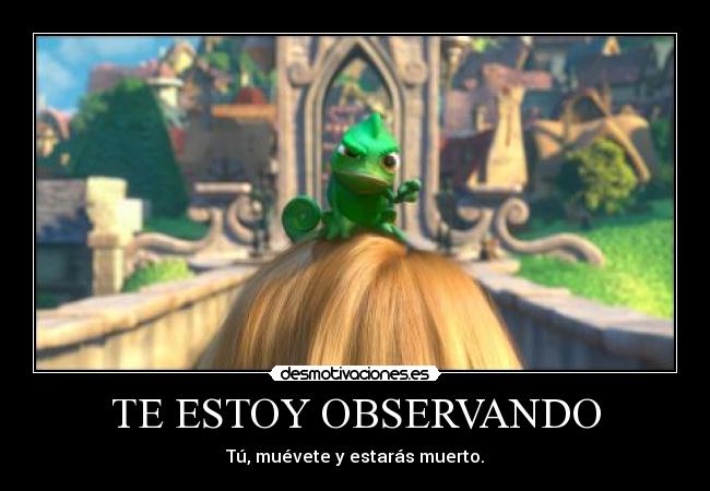 TE ESTOY OBSERVANDO -