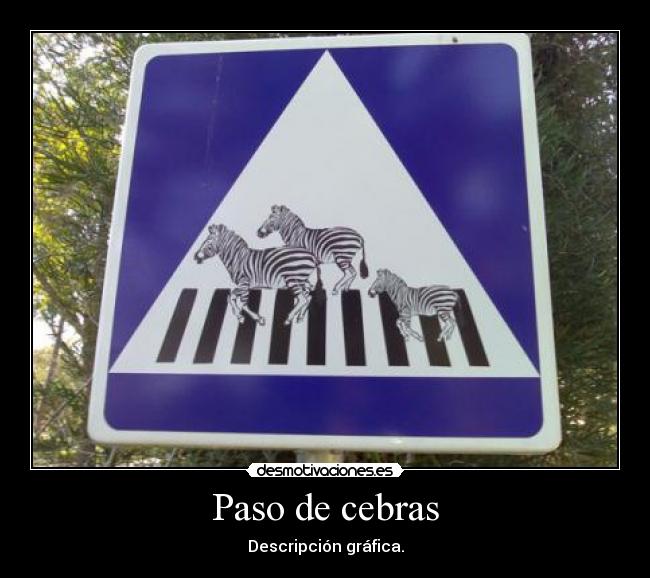 Paso de cebras - 