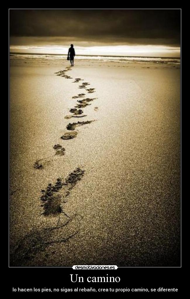 Un camino -