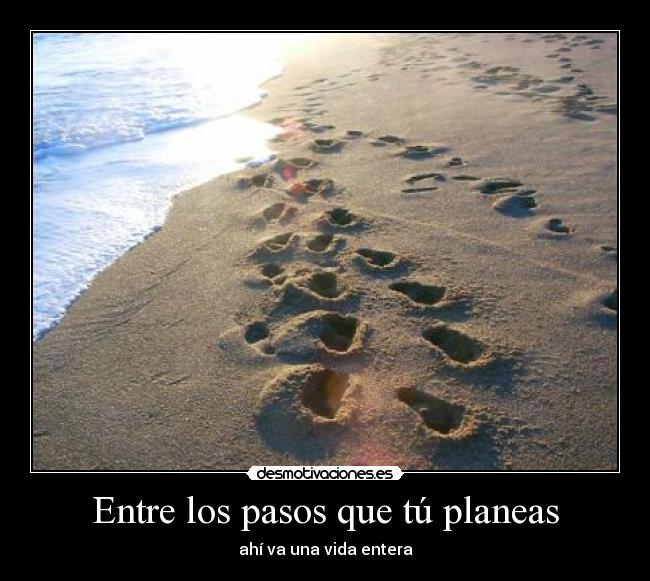 carteles pasos desmotivaciones