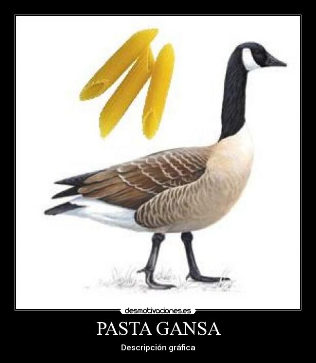 PASTA GANSA -
