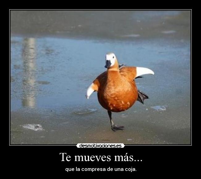 Te mueves más... - que la compresa de una coja.