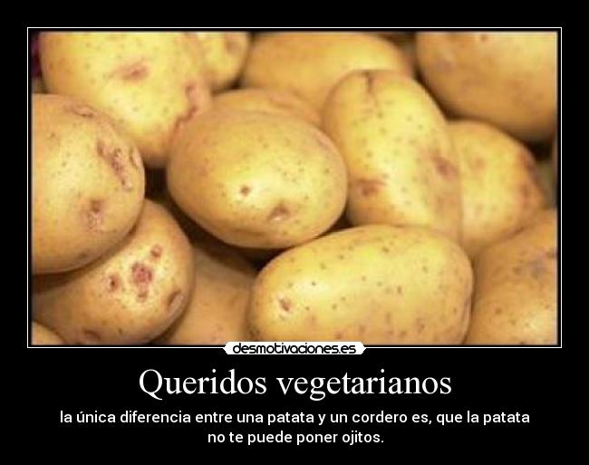 Queridos vegetarianos - la única diferencia entre una patata y un cordero es, que la patata
no te puede poner ojitos.