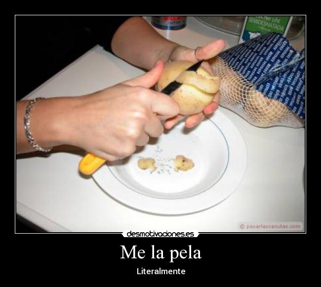 Me la pela Desmotivaciones
