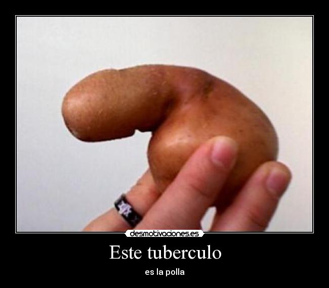 Este tuberculo - es la polla