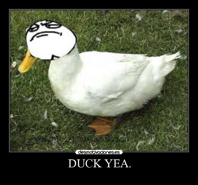 DUCK YEA. - 