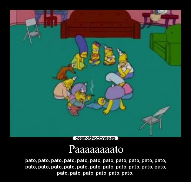 Paaaaaaaato - 