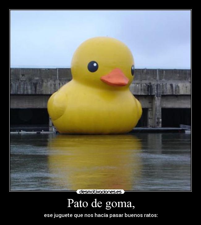 Pato de goma, -