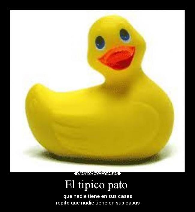 El tipico pato  - 